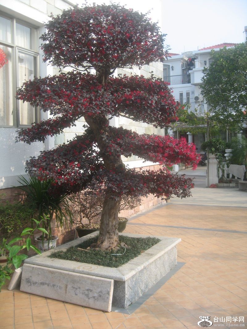 IMG_5046.jpg