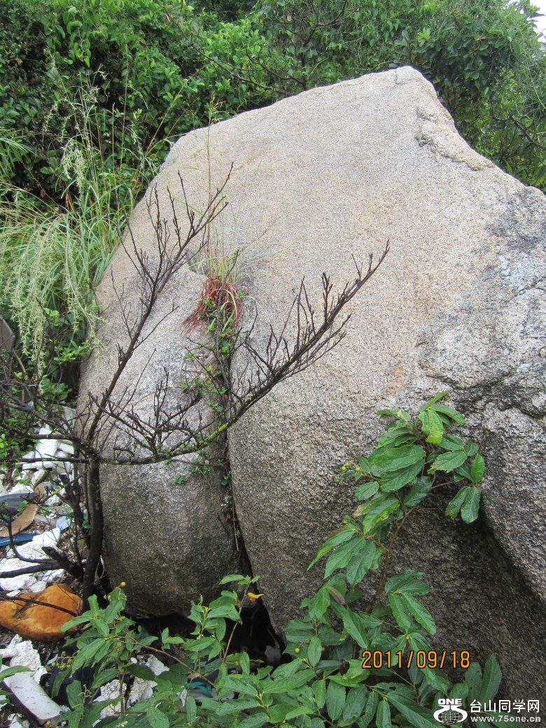 1 119_conew1.jpg