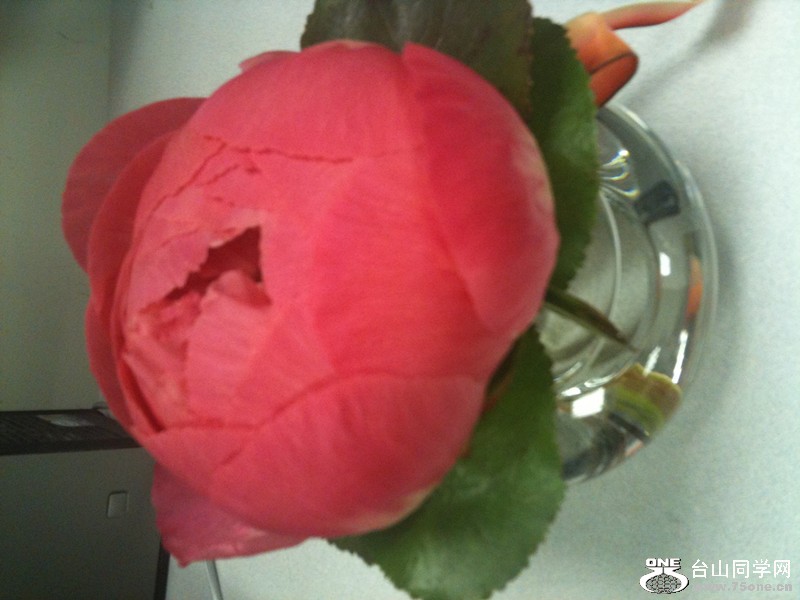 IMG_4090_.jpg