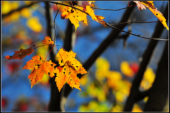 DSC_8105.JPG