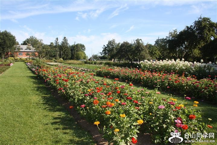 Picture 086 (Small).jpg