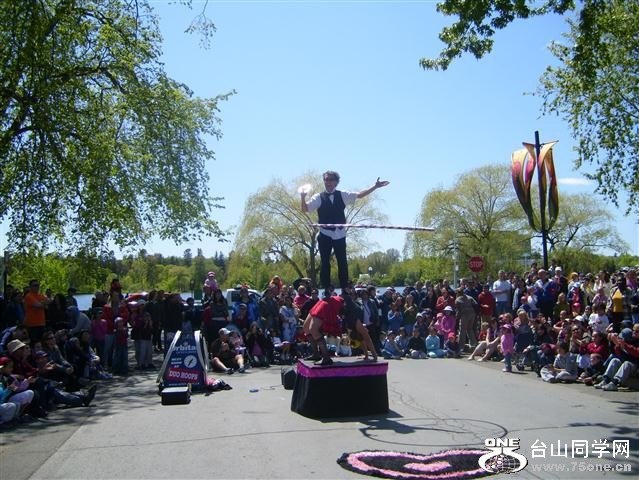 Picture 961 (Small).jpg