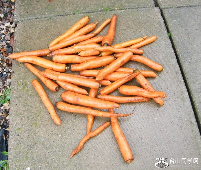 DSCF8819.JPG