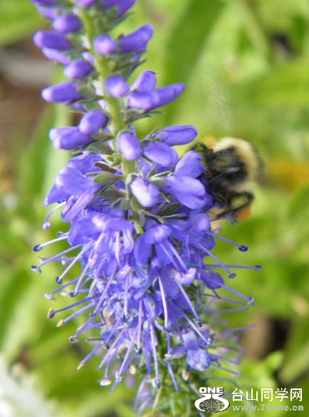 DSCF3257.JPG