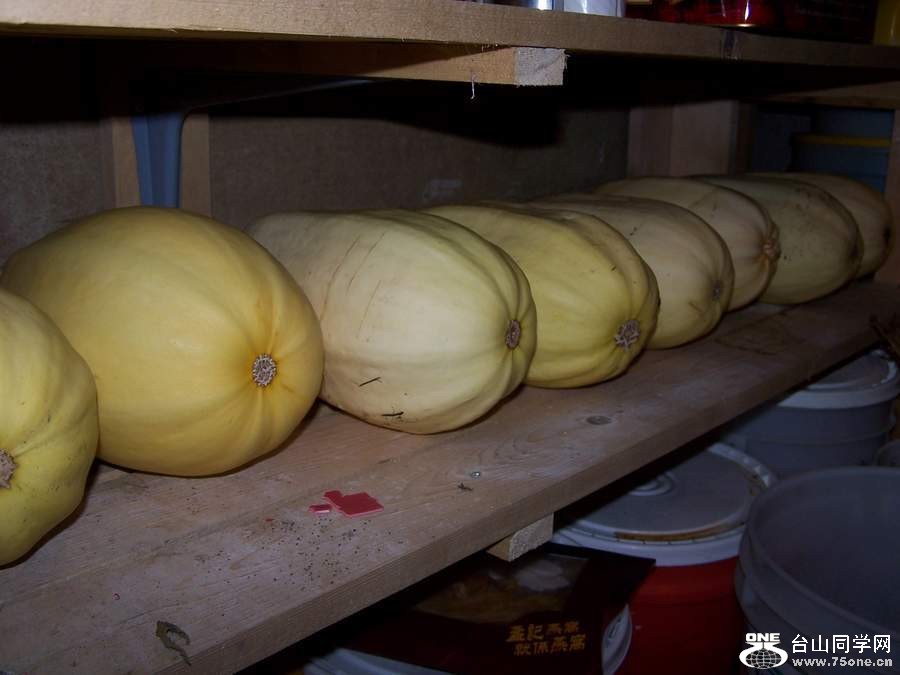 2010 1046.jpg