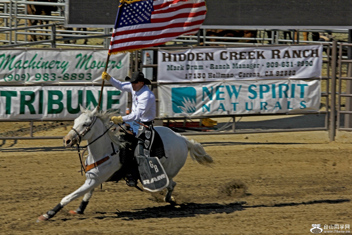 Picture 275-3.jpg