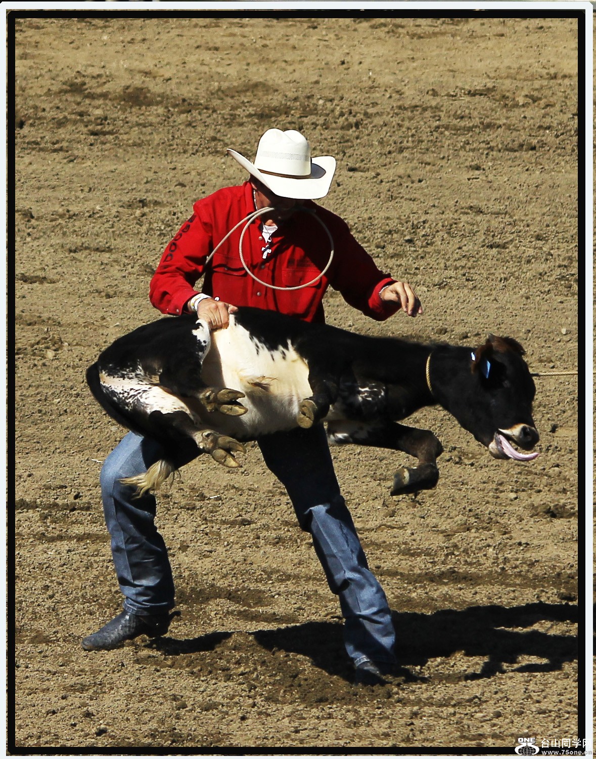 Picture 453-3.jpg