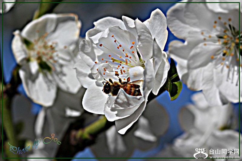 Picture 290-7.jpg