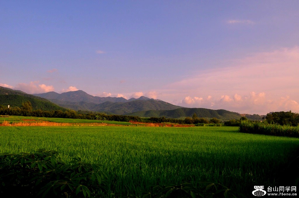 DSC_0207.JPG