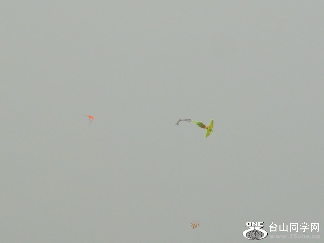 DSC02194.JPG