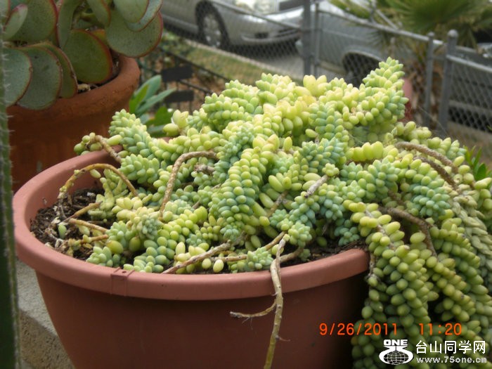 2011_10170027.JPG
