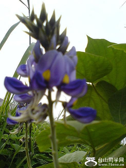 05.jpg