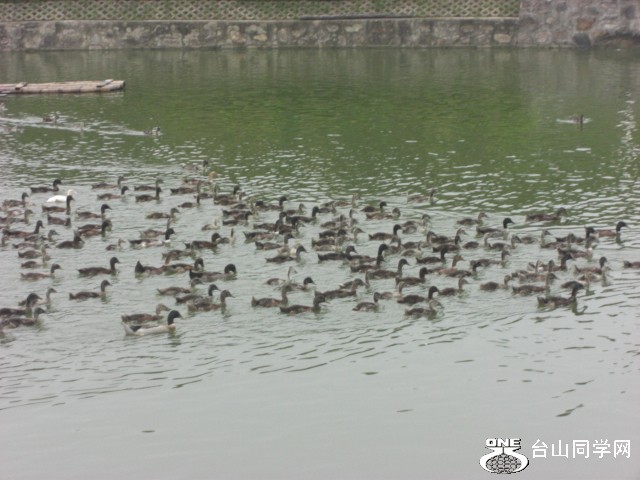 CIMG6600.JPG