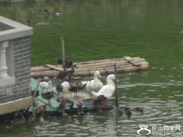 CIMG6581.JPG