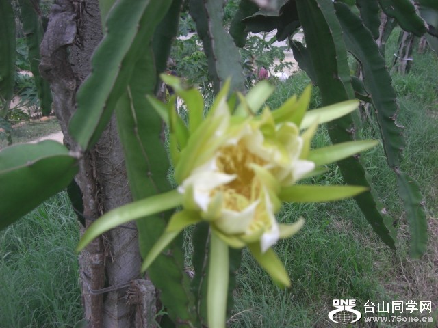 CIMG6467.JPG