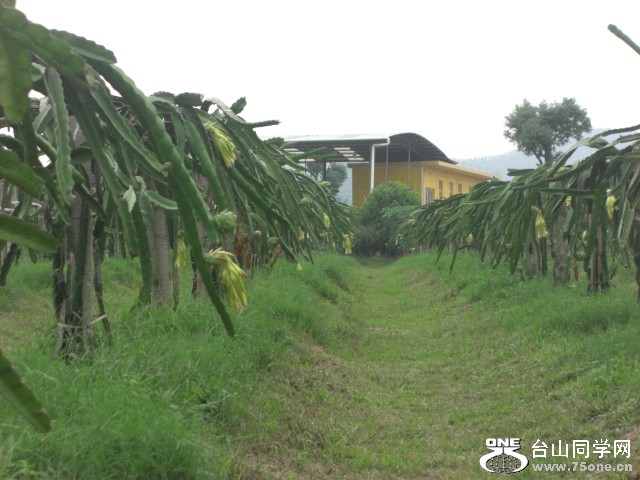 CIMG6483.JPG