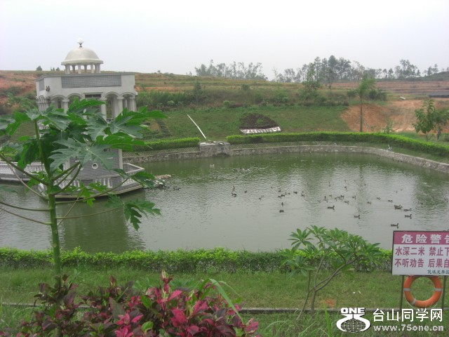 CIMG6577.JPG