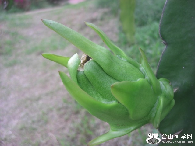 CIMG6448.JPG