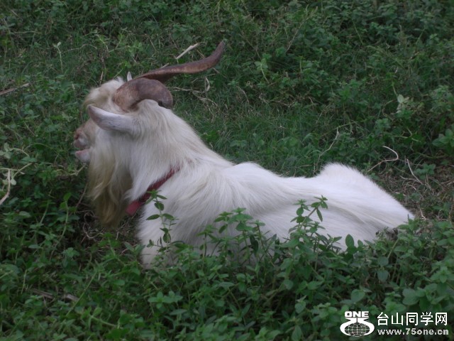 CIMG6617.JPG