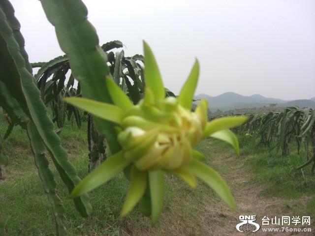 CIMG6547.JPG