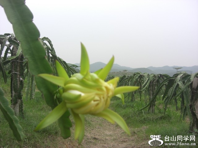 CIMG6548.JPG