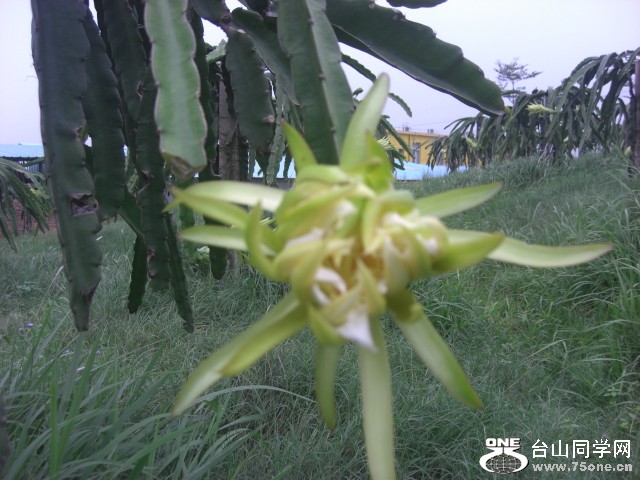 CIMG6539.JPG
