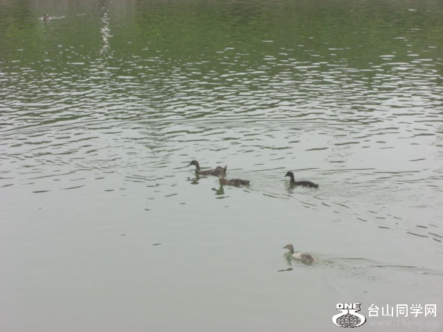 CIMG6599.JPG