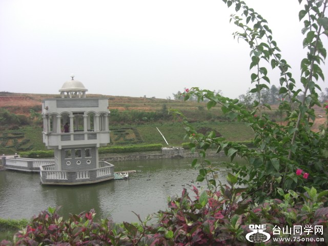 CIMG6575.JPG