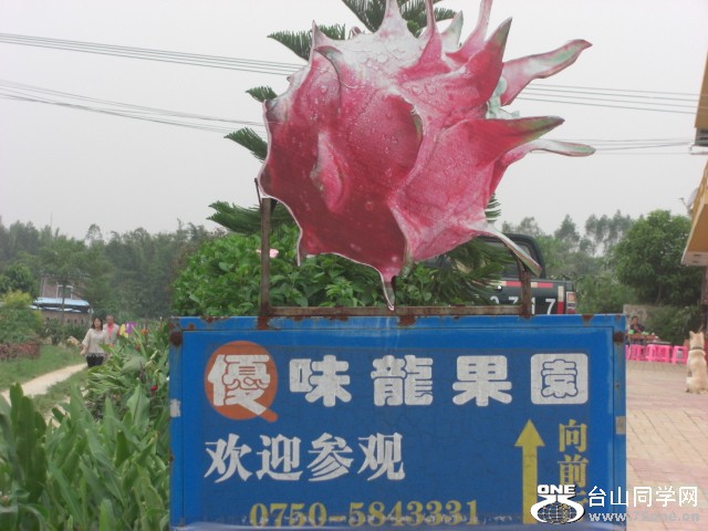 CIMG6573.JPG