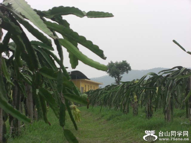 CIMG6482.JPG