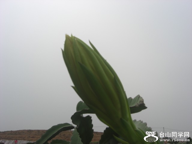 CIMG6543.JPG