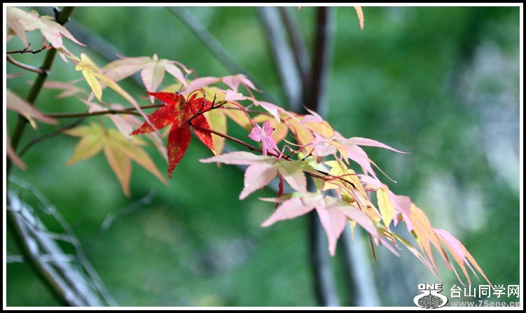 IMG_9968.jpg