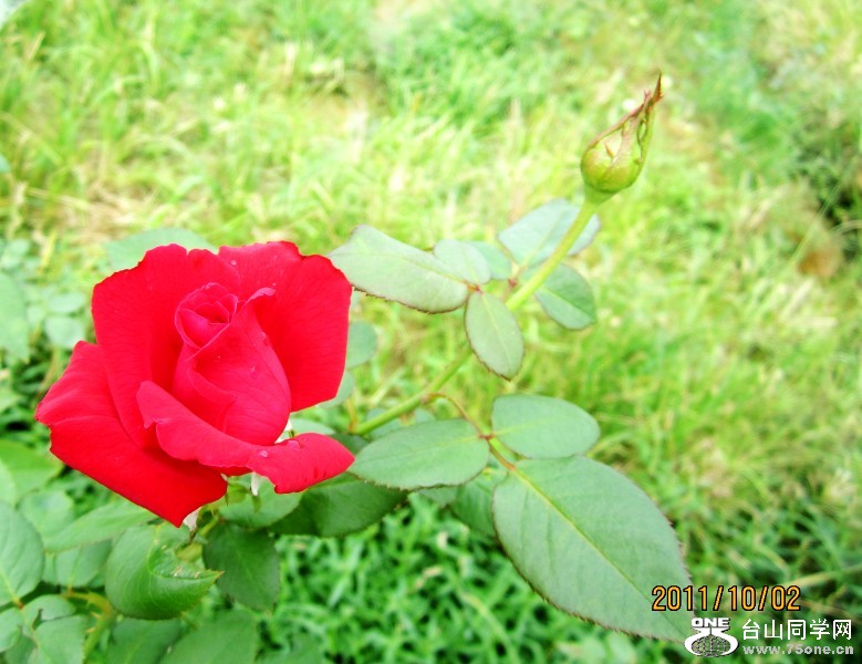 õ塢㺣 076_conew1.jpg