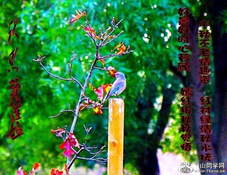 Ϊտ-888.jpg