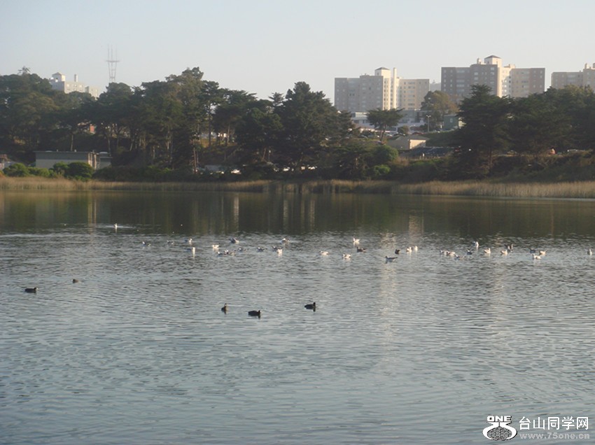DSC01938_.jpg