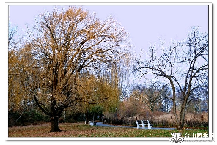 DSC_0331--ɫ-1.jpg