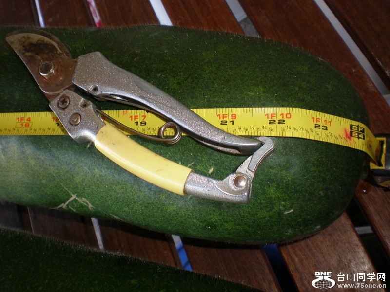 PA050107.JPG