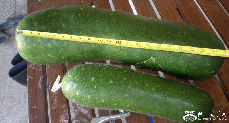 PA050105.JPG
