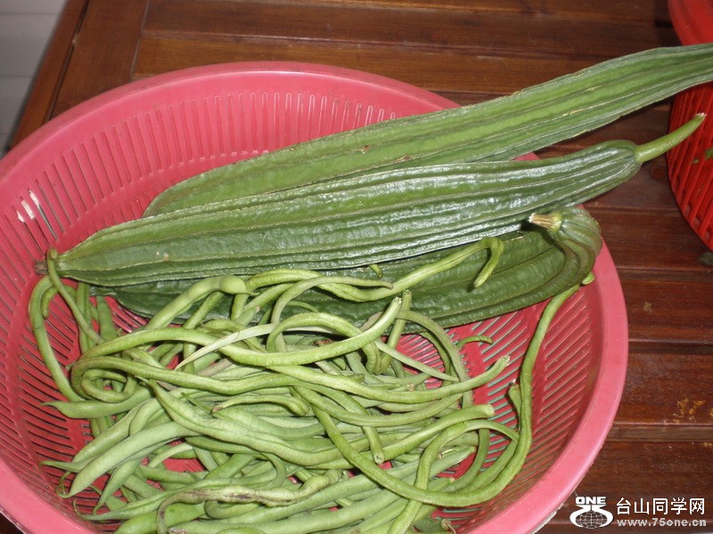PA040099.JPG