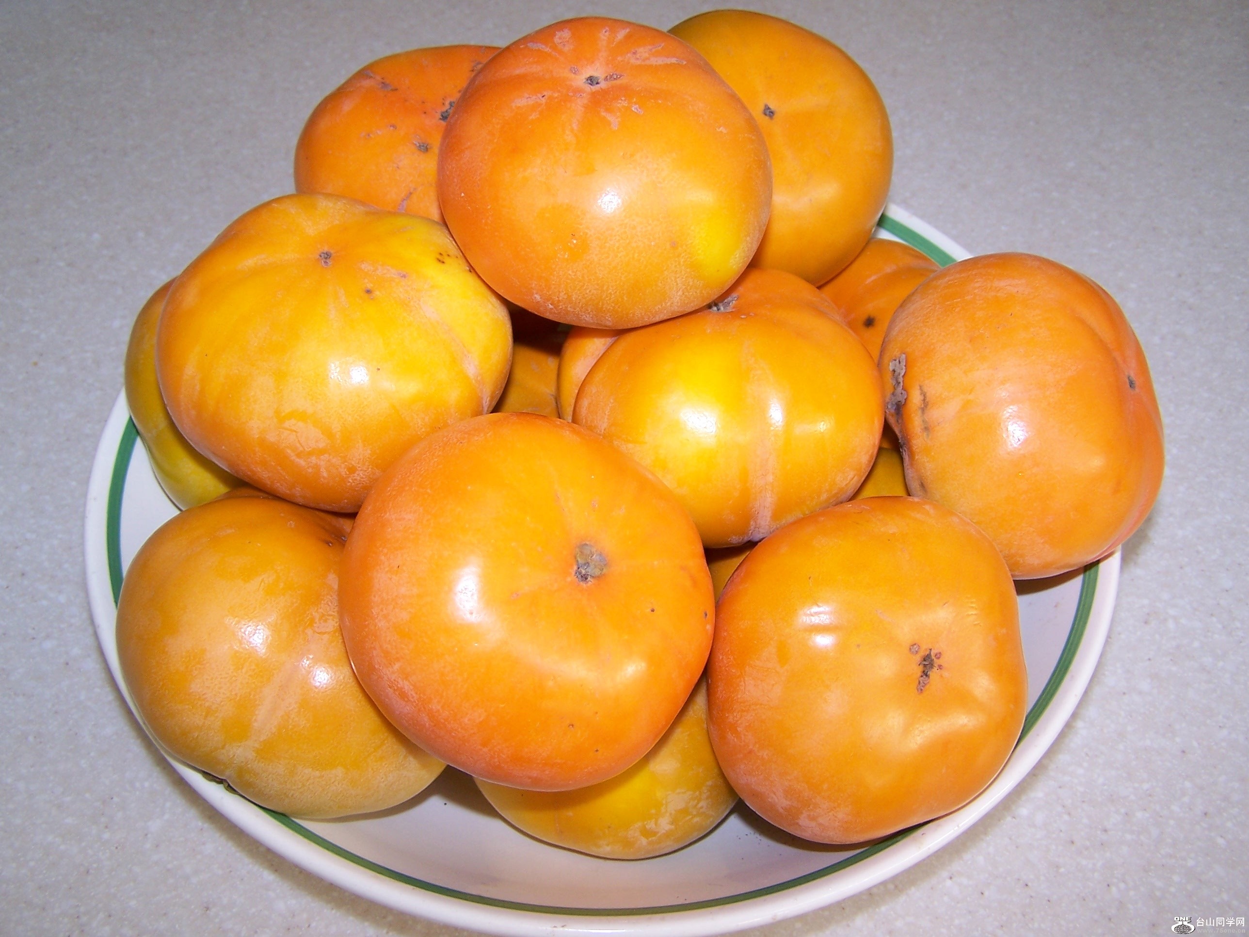 100_7720.JPG