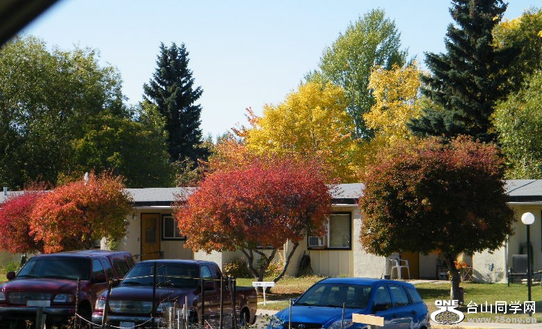 DSCF8546.JPG