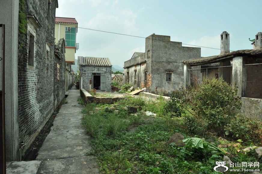 DSC_0410.jpg