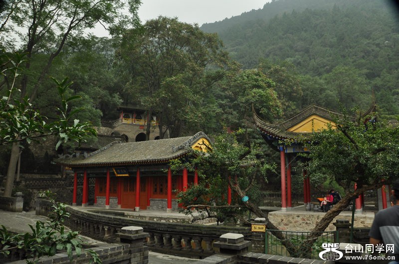 20119301644866061[1].jpg