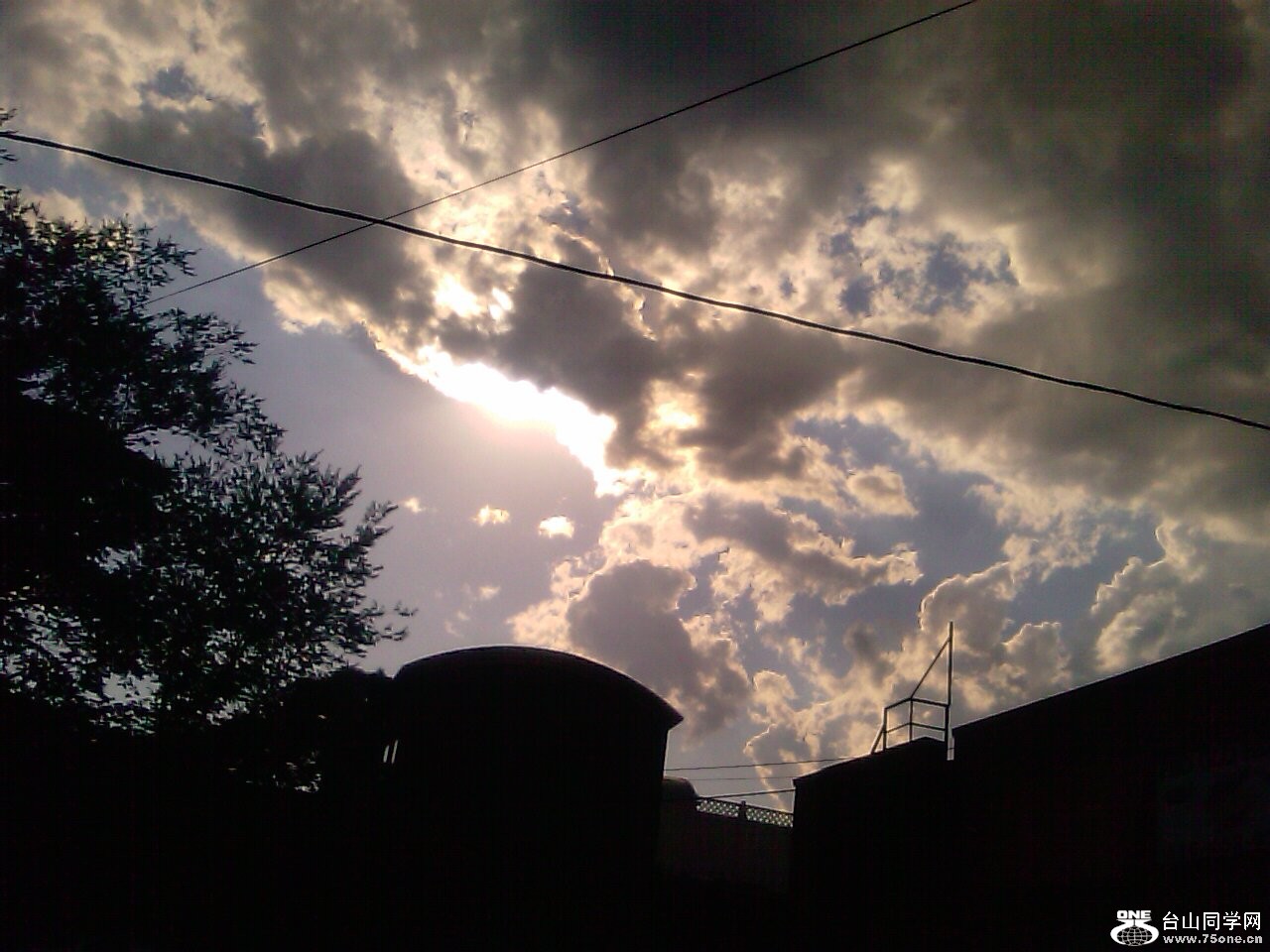 IMAGE_383.jpg