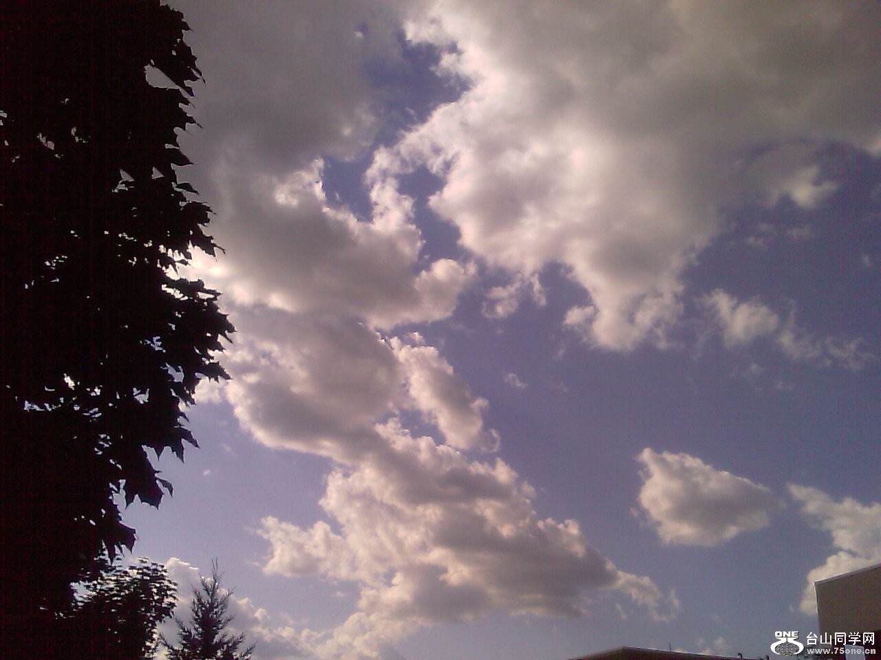 IMAGE_380.jpg