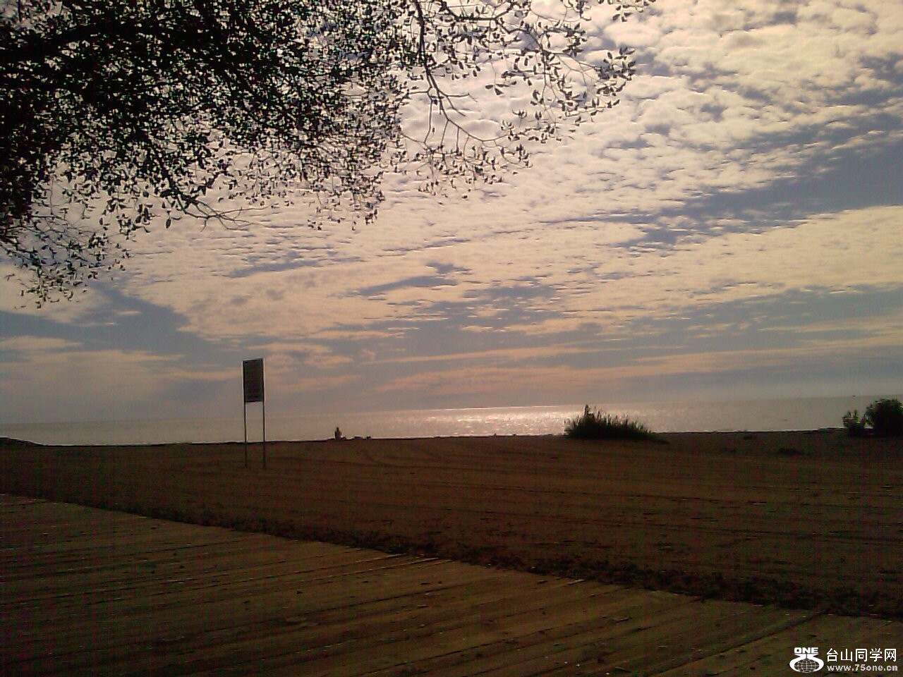 IMAG0465.jpg