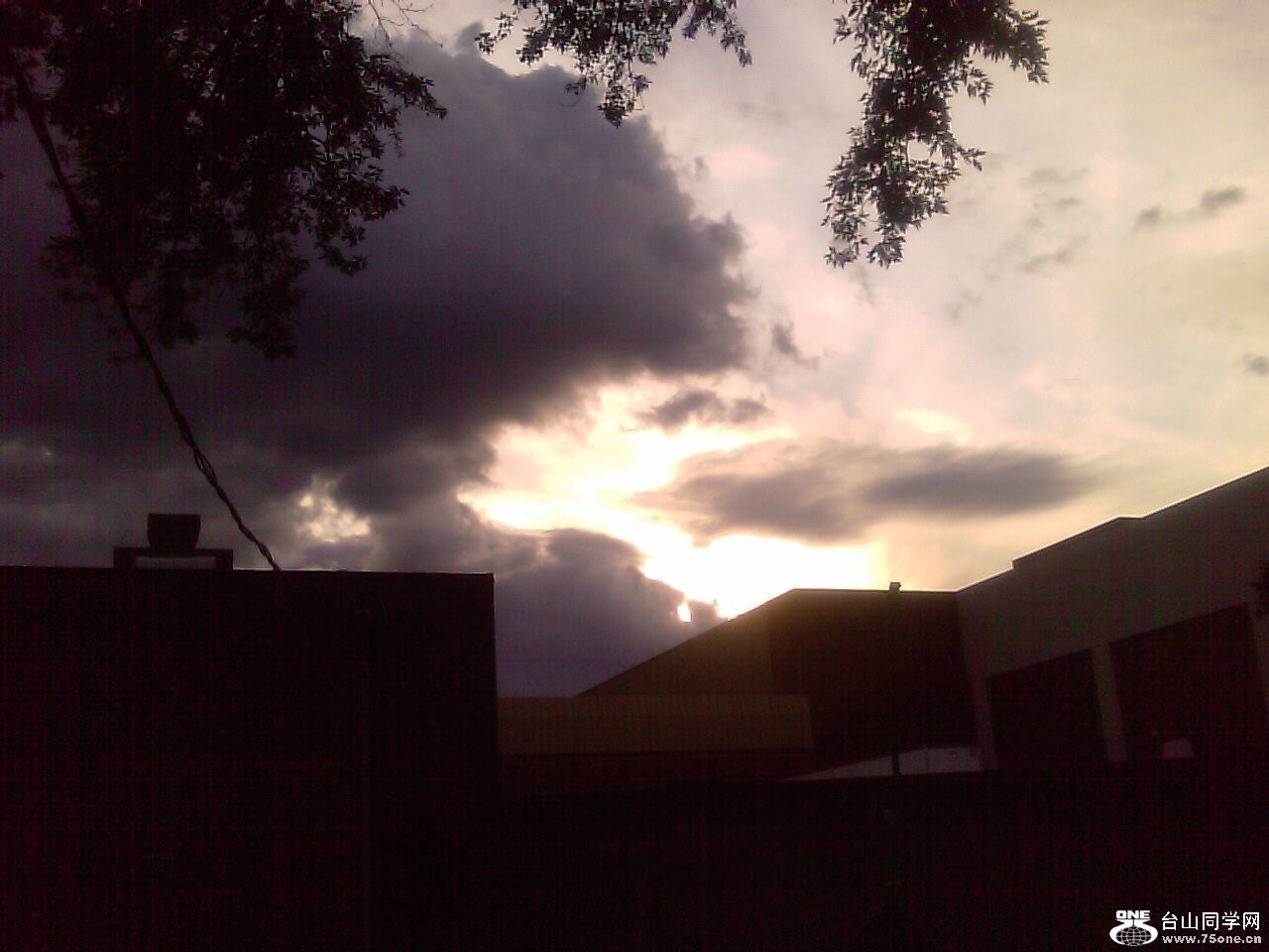 IMAGE_398.jpg