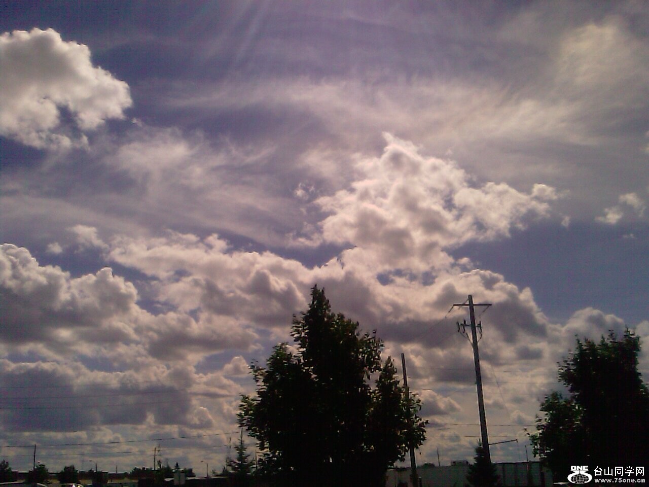 IMAGE_392.jpg