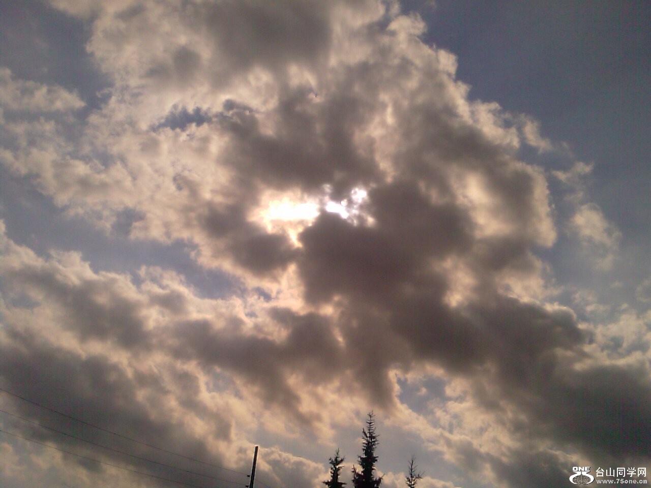 IMAGE_418.jpg