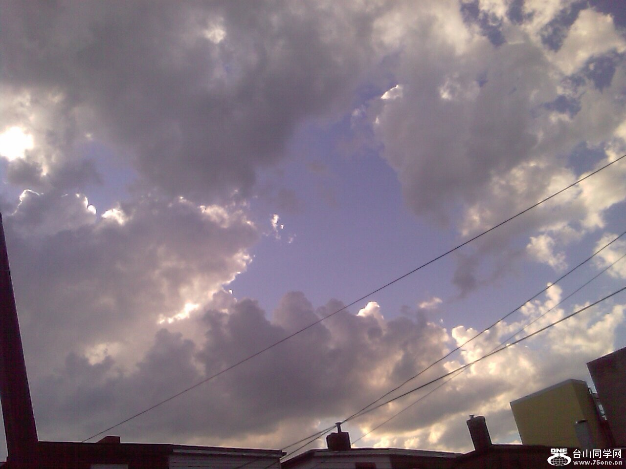 IMAGE_385.jpg